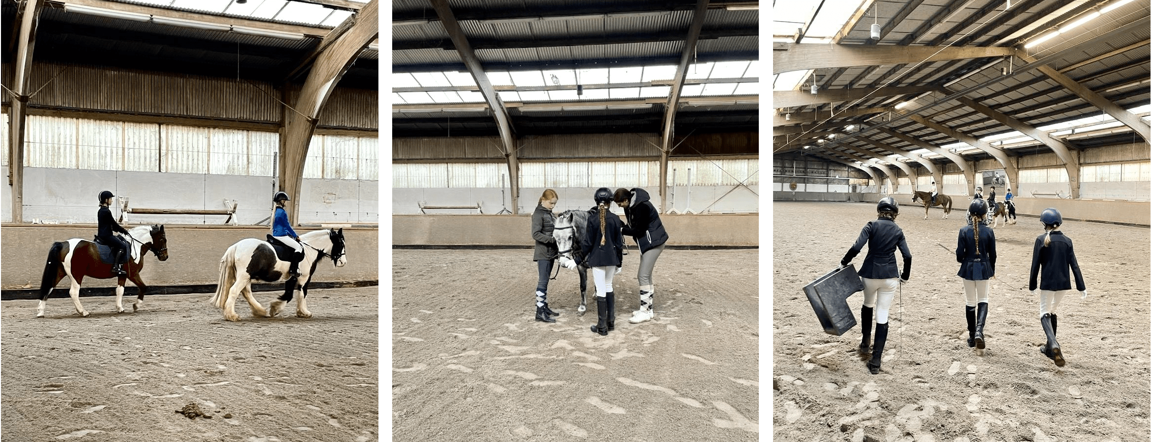 Reitabzeichen 1-3-min.png